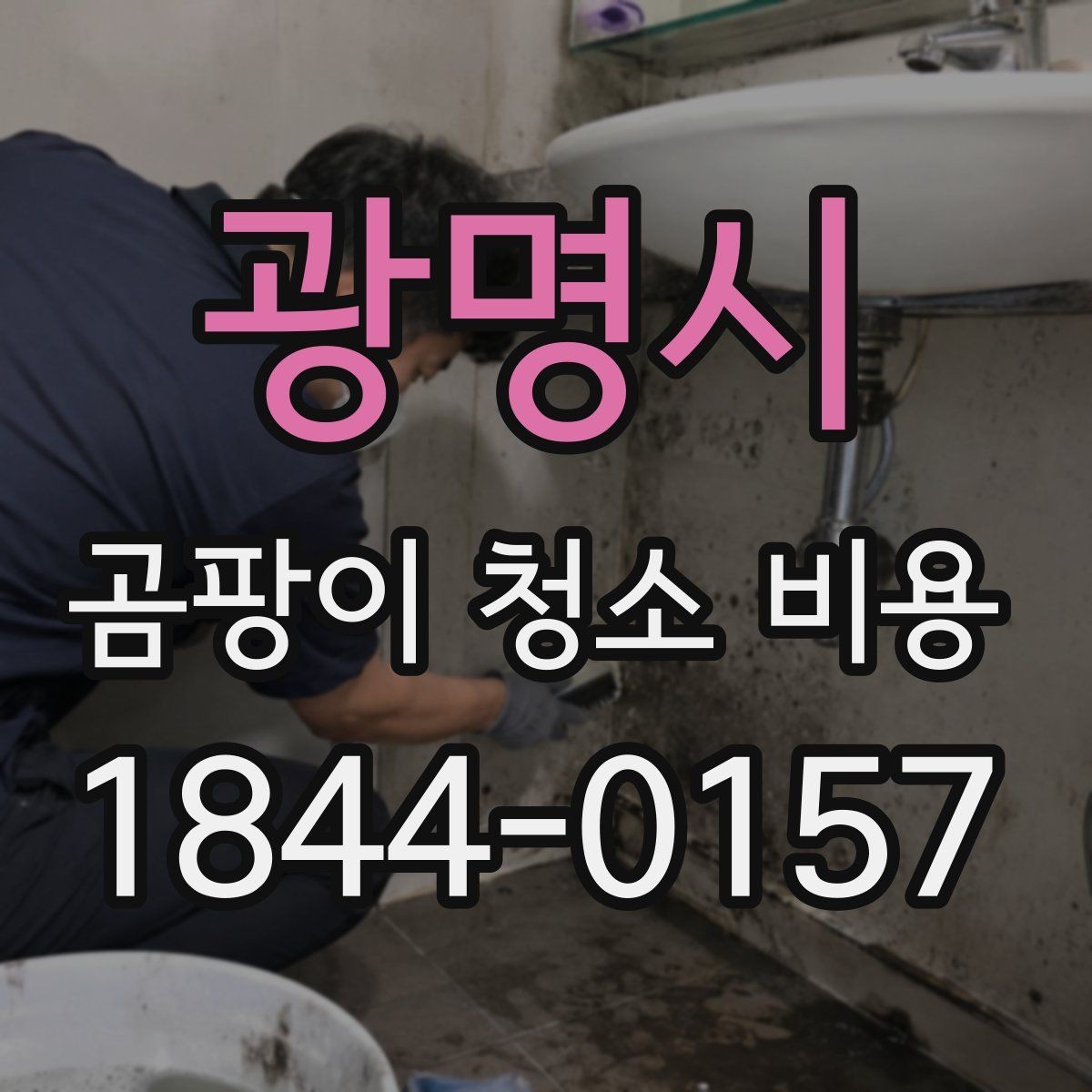 광명시 곰팡이 청소 비용 원룸과 오피스텔에서 자주 묻는 항목