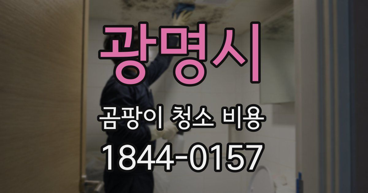 광명시 곰팡이 청소 비용