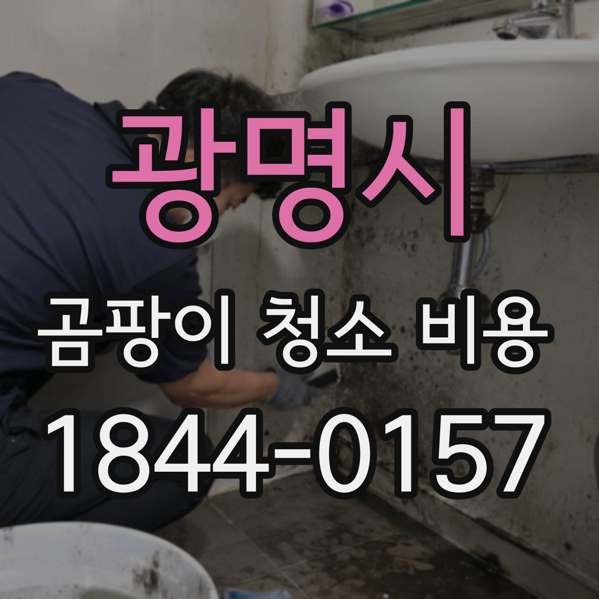 광명시 곰팡이 청소 비용