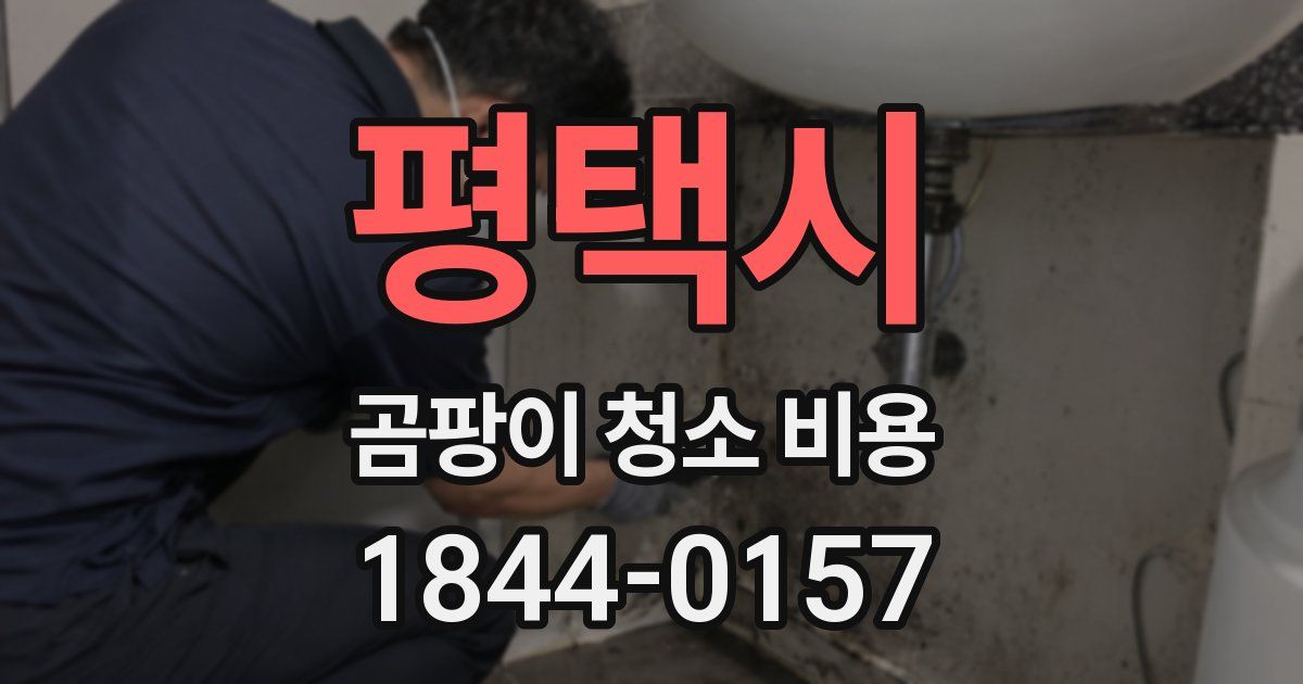 평택시 곰팡이 청소 비용