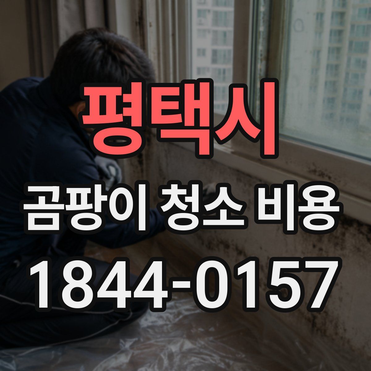 평택시 곰팡이 청소 비용