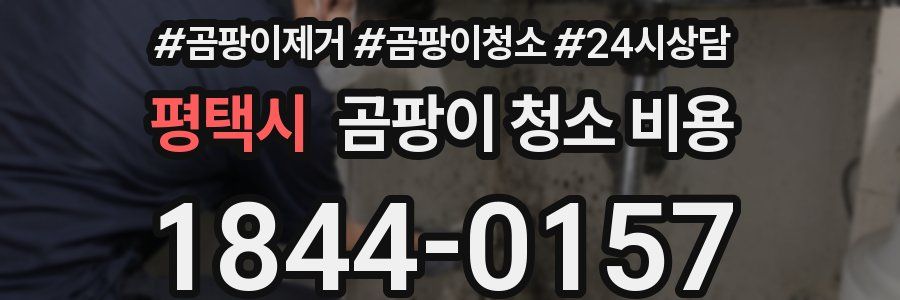 평택시 곰팡이 청소 비용