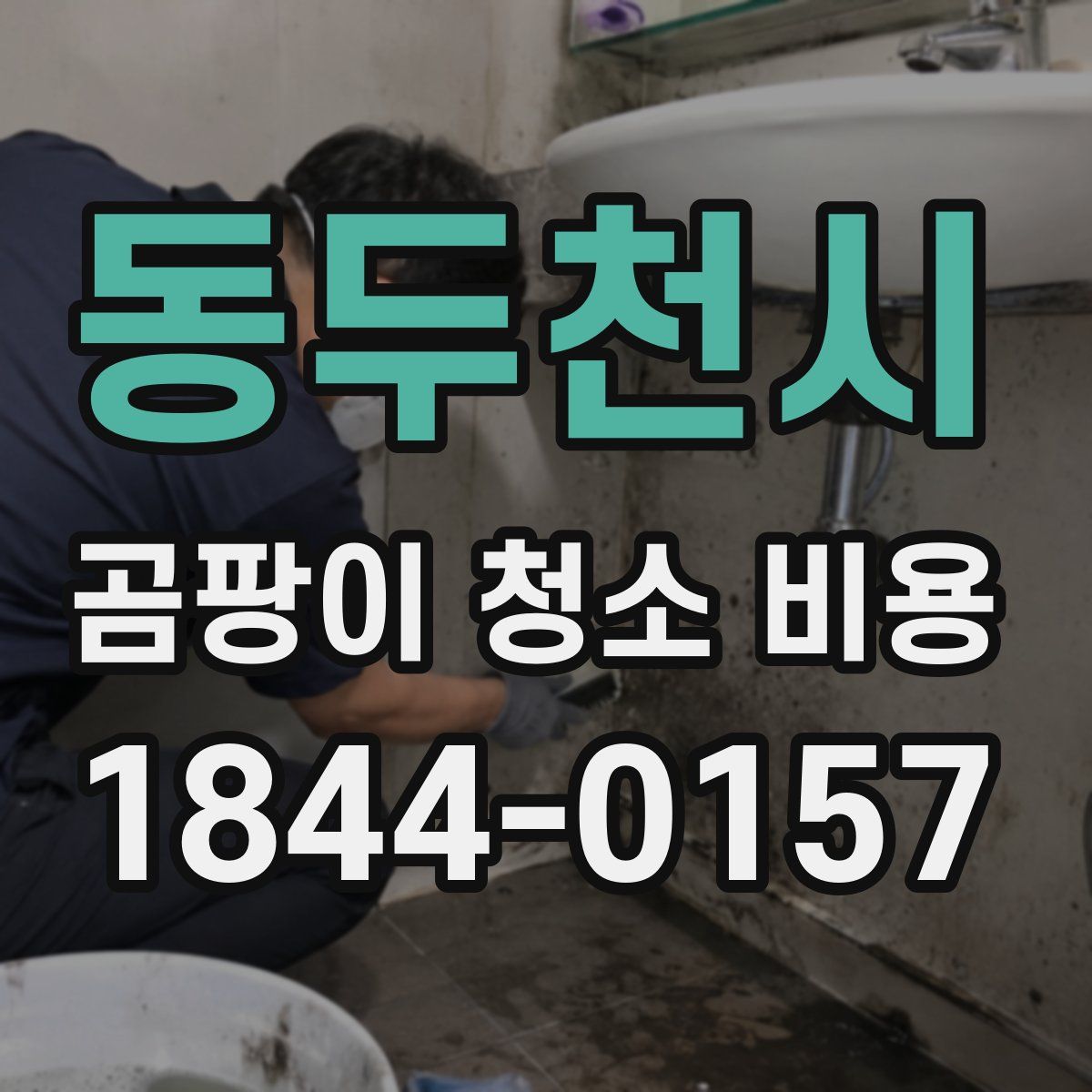 동두천시 곰팡이 청소 비용