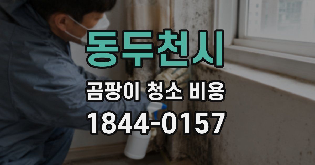 동두천시 곰팡이 청소 비용