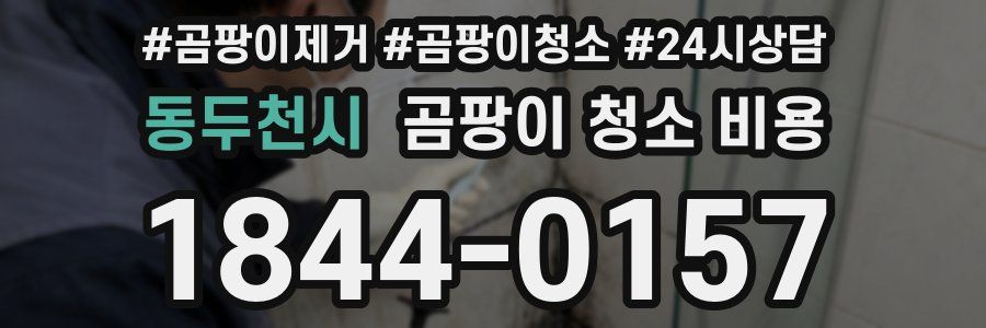 동두천시 곰팡이 청소 비용