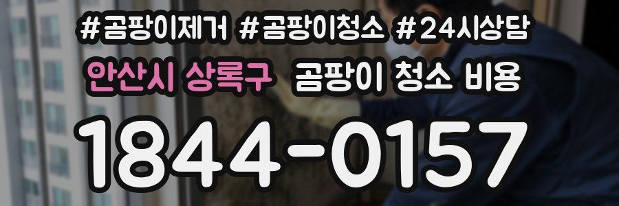 안산시 상록구 곰팡이 청소 비용