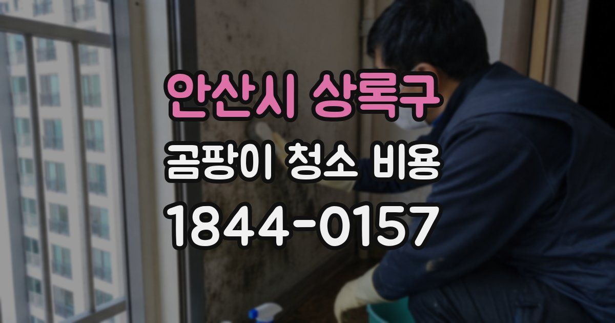 안산시 상록구 곰팡이 청소 비용