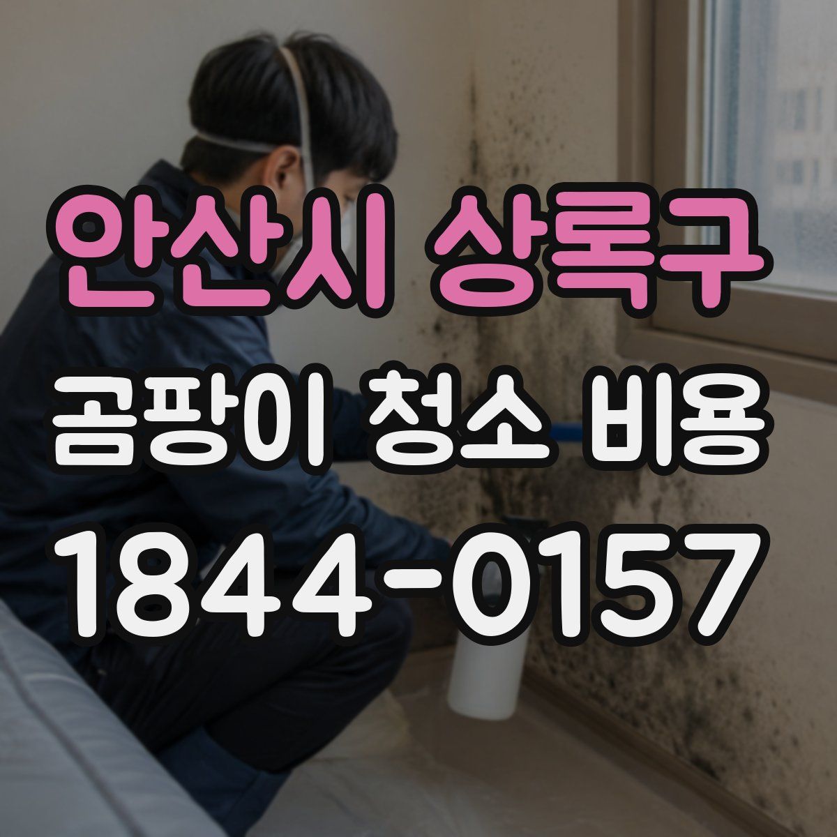 안산시 상록구 곰팡이 청소 비용