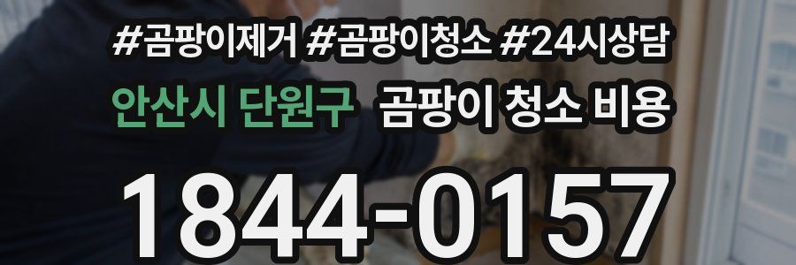 안산시 단원구 곰팡이 청소 비용