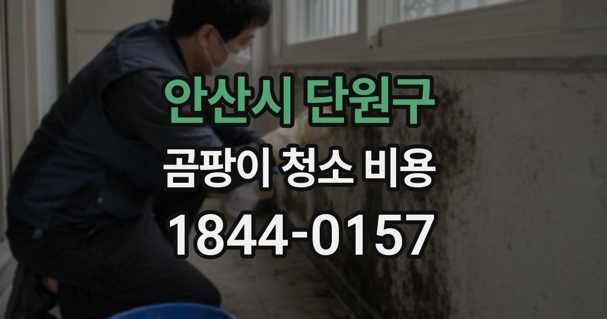 안산시 단원구 곰팡이 청소 비용