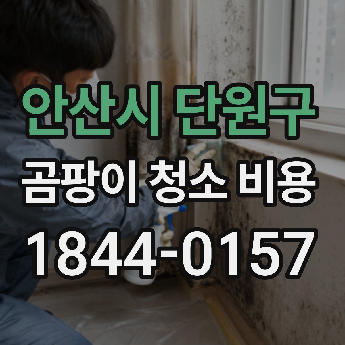 안산시 단원구 곰팡이 청소 비용