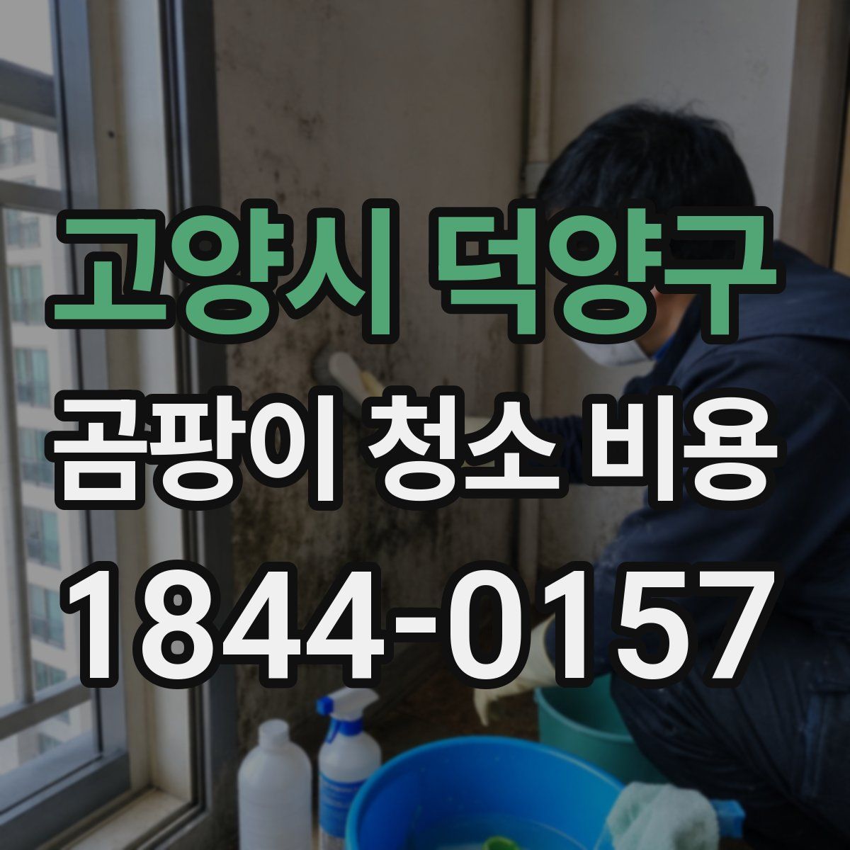 고양시 덕양구 곰팡이 청소 비용