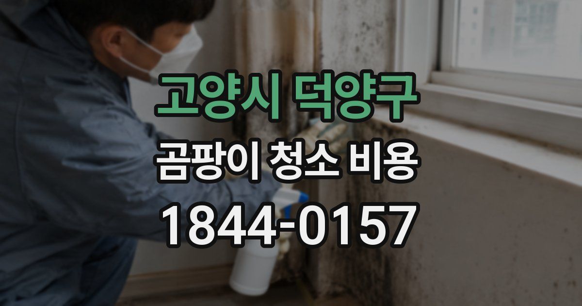 고양시 덕양구 곰팡이 청소 비용