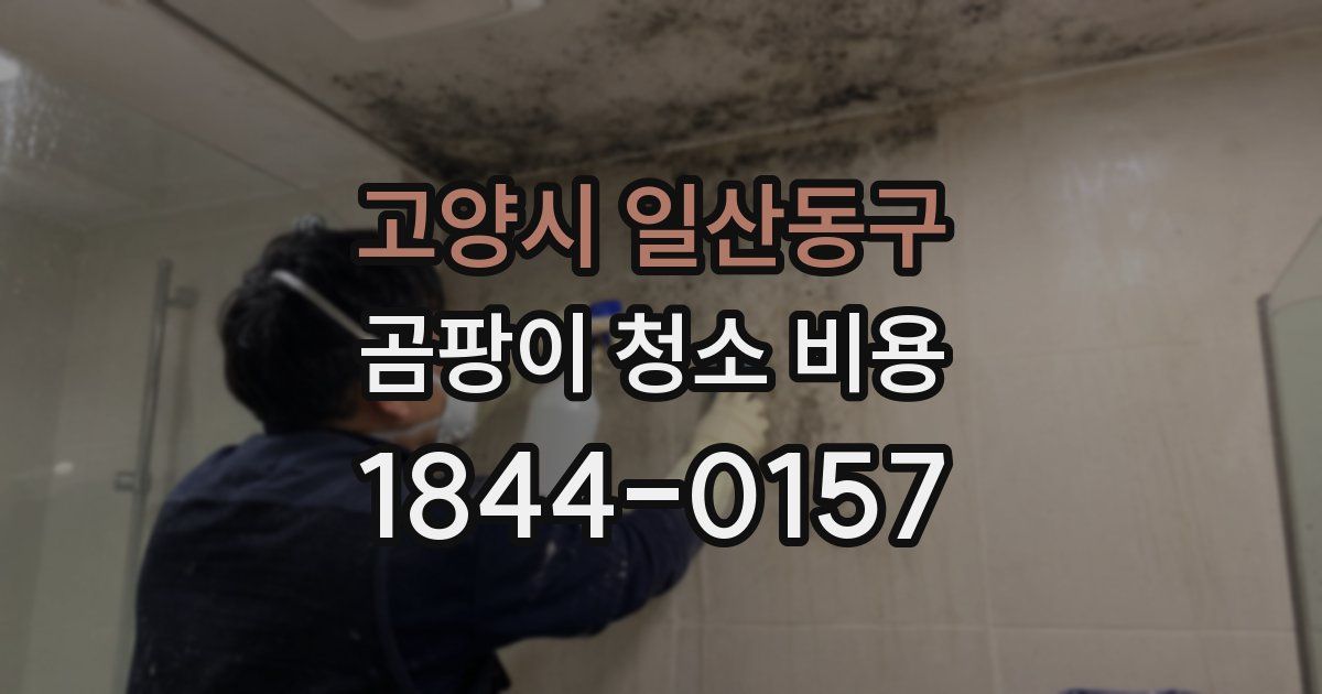 고양시 일산동구 곰팡이 청소 비용