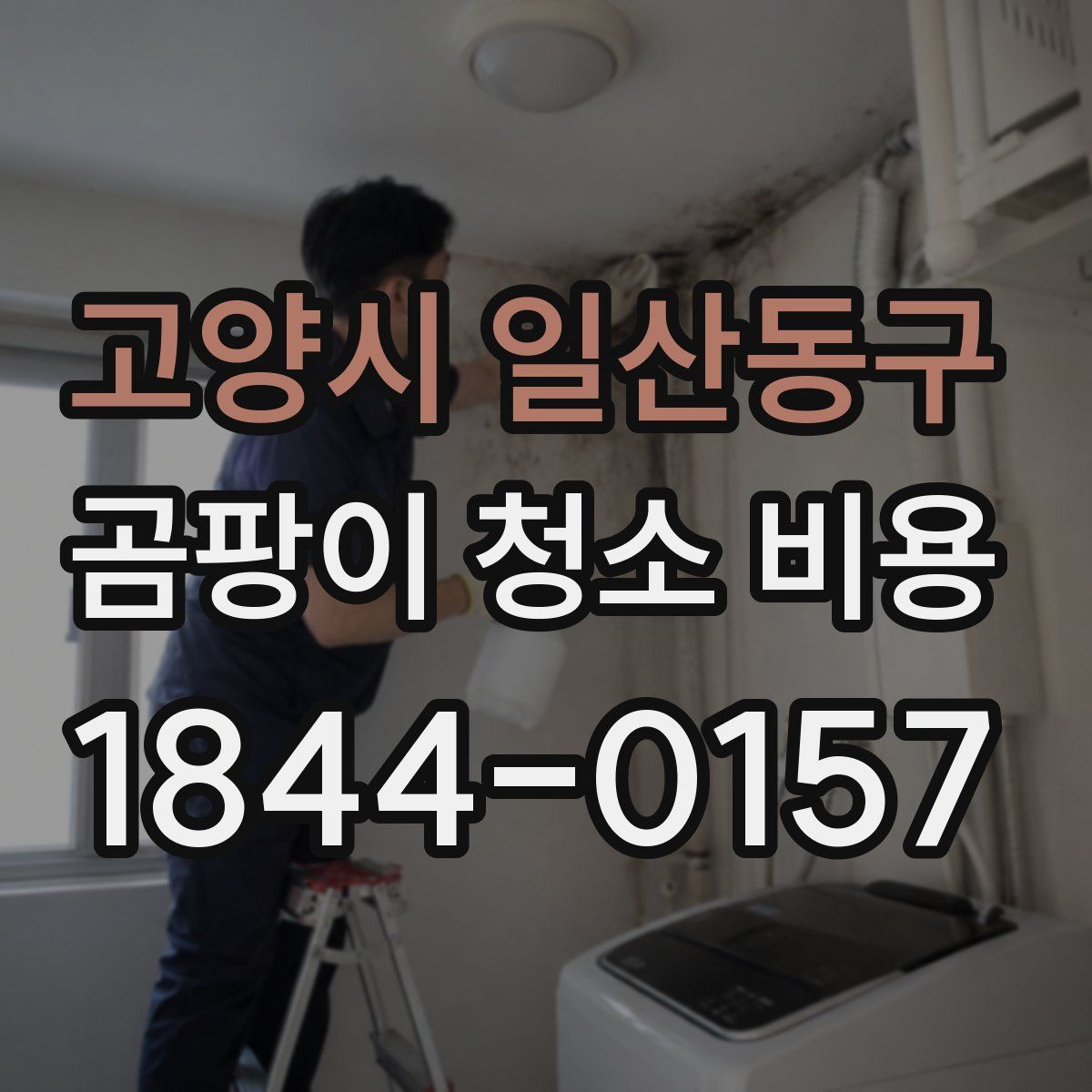고양시 일산동구 곰팡이 청소 비용