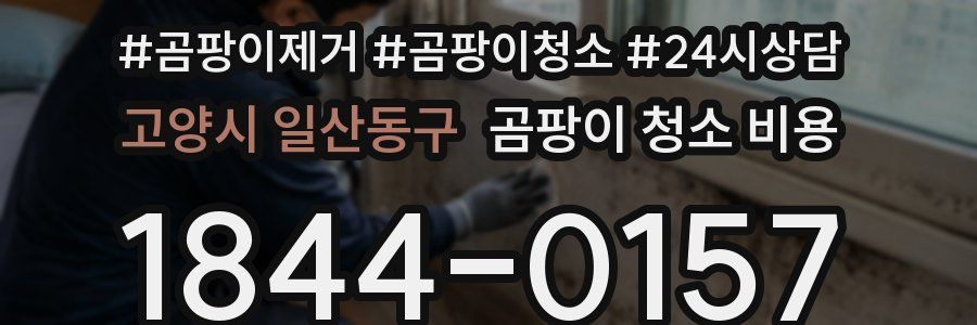 고양시 일산동구 곰팡이 청소 비용