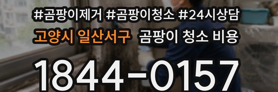 고양시 일산서구 곰팡이 청소 비용