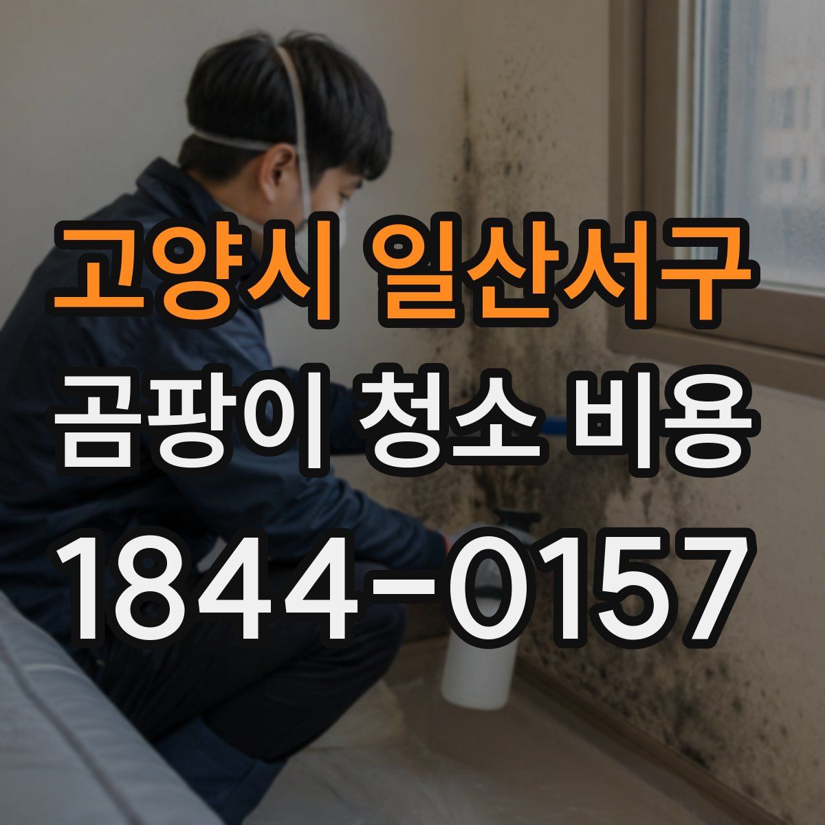 고양시 일산서구 곰팡이 청소 비용