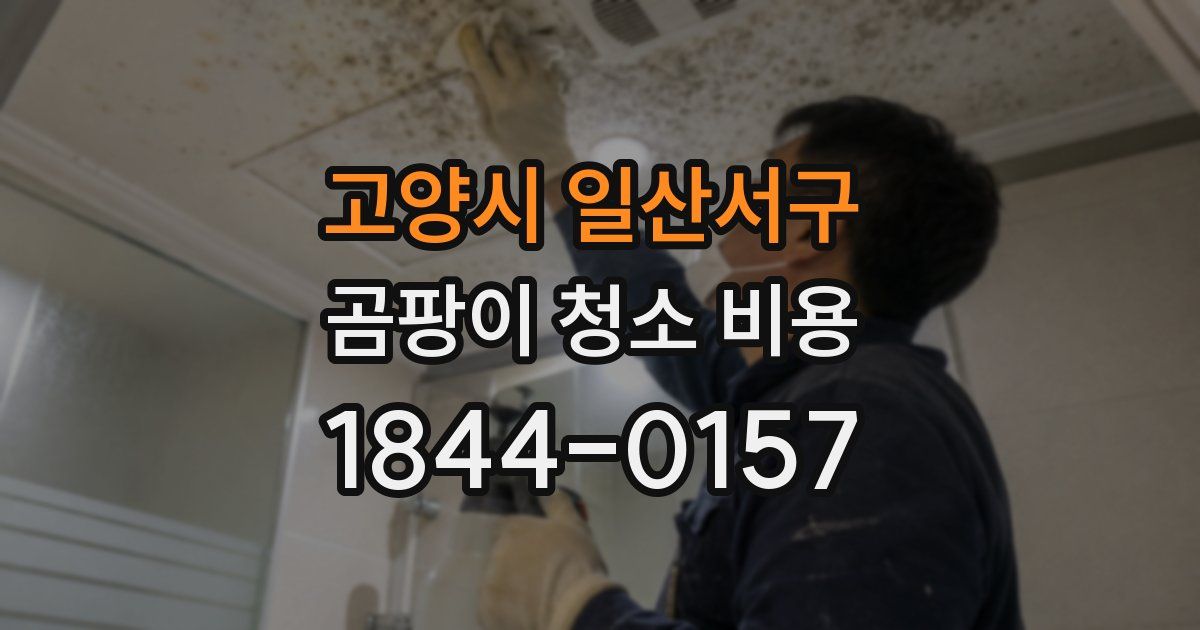 고양시 일산서구 곰팡이 청소 비용