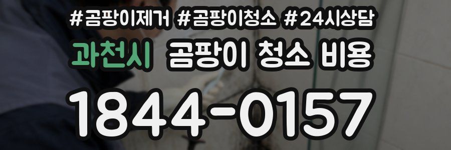 과천시 곰팡이 청소 비용