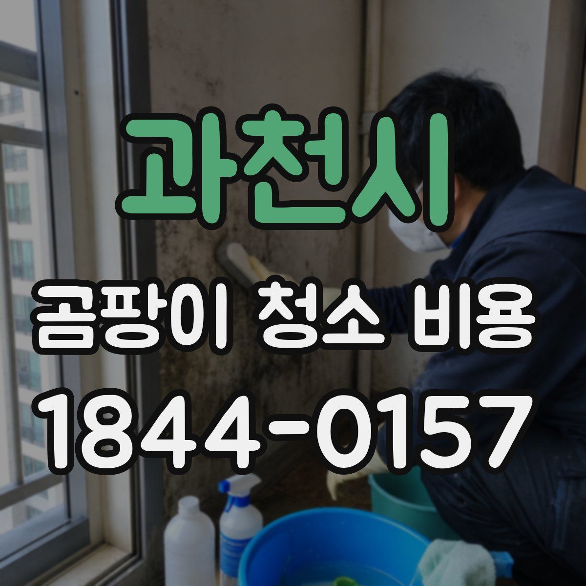 과천시 곰팡이 청소 비용