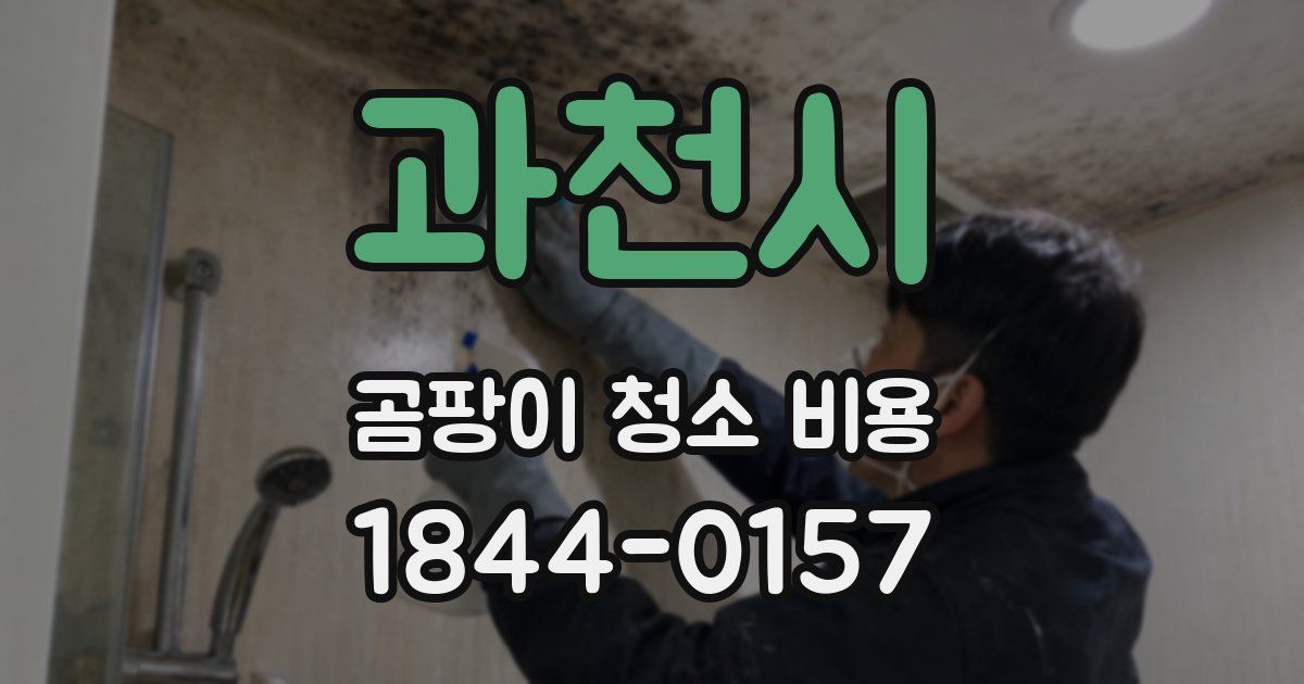 과천시 곰팡이 청소 비용