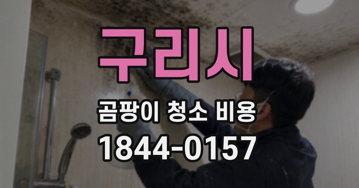 구리시 곰팡이 청소 비용