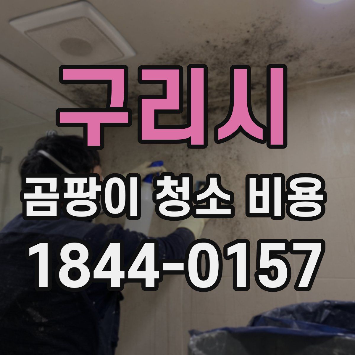 구리시 곰팡이 청소 비용