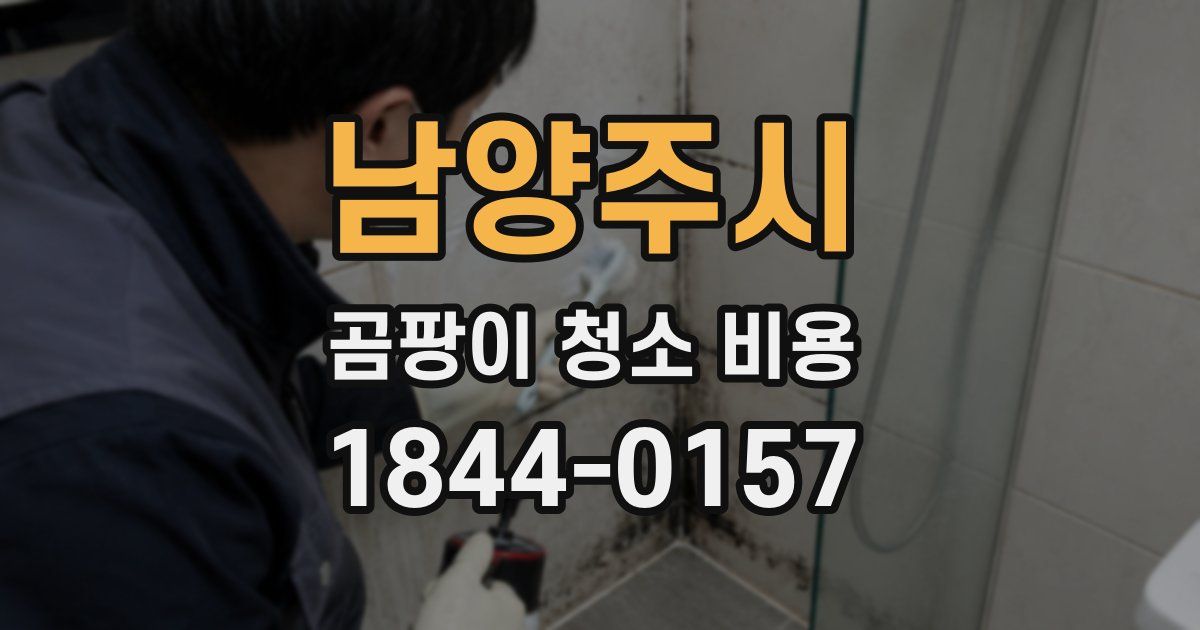 남양주시 곰팡이 청소 비용