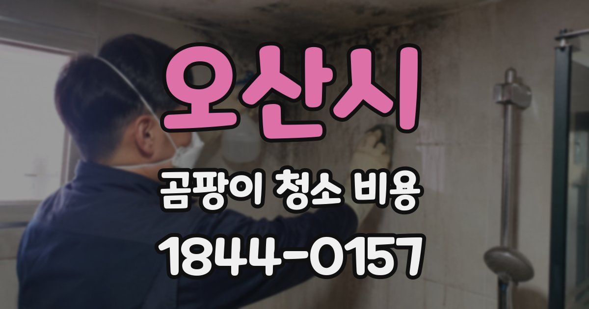 오산시 곰팡이 청소 비용