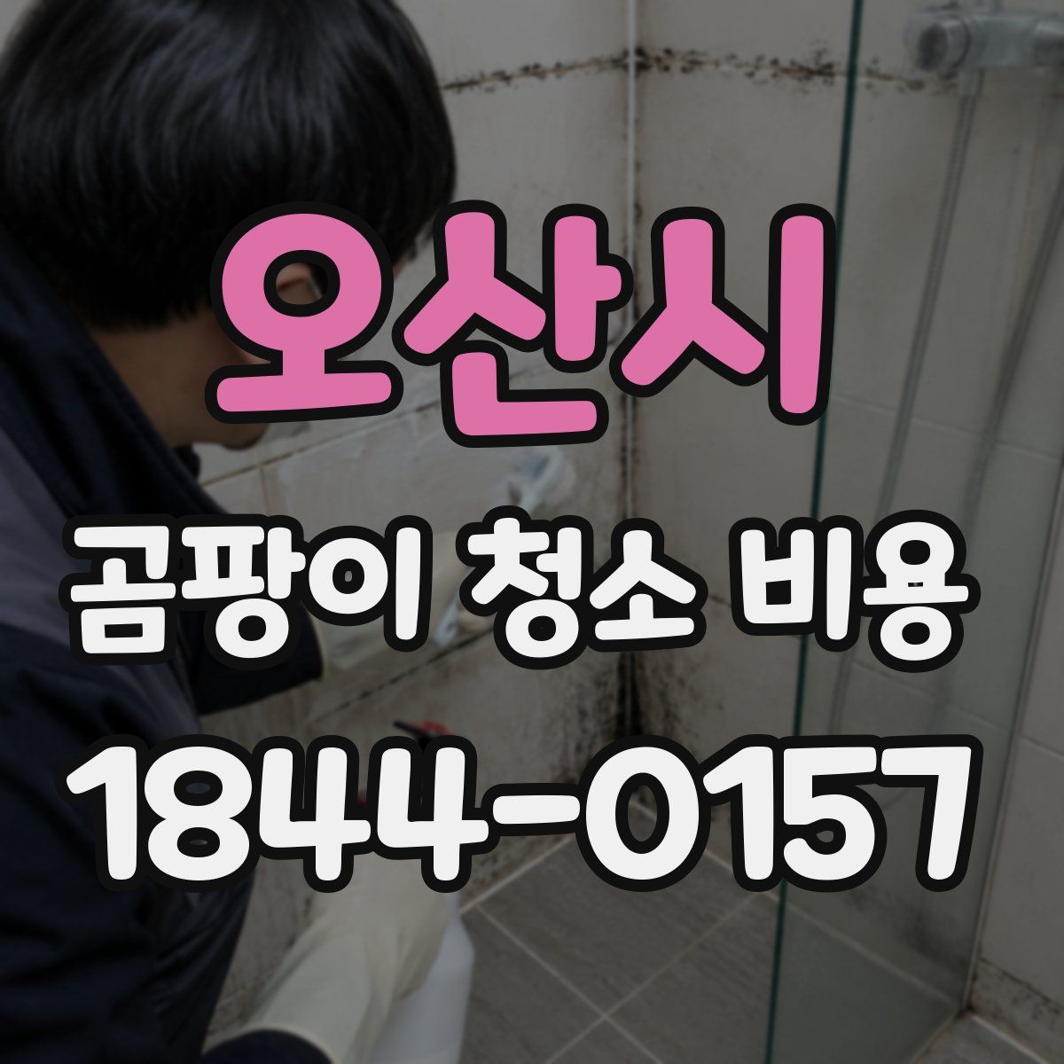 오산시 곰팡이 청소 비용