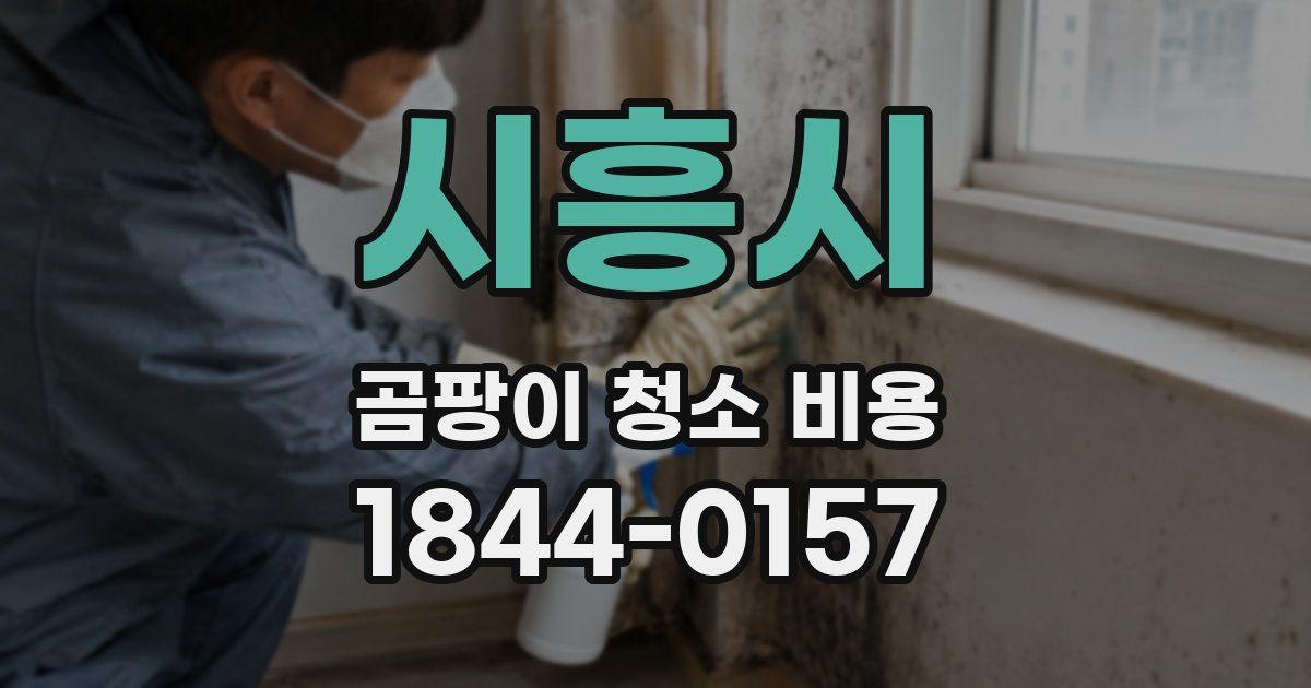 시흥시 곰팡이 청소 비용