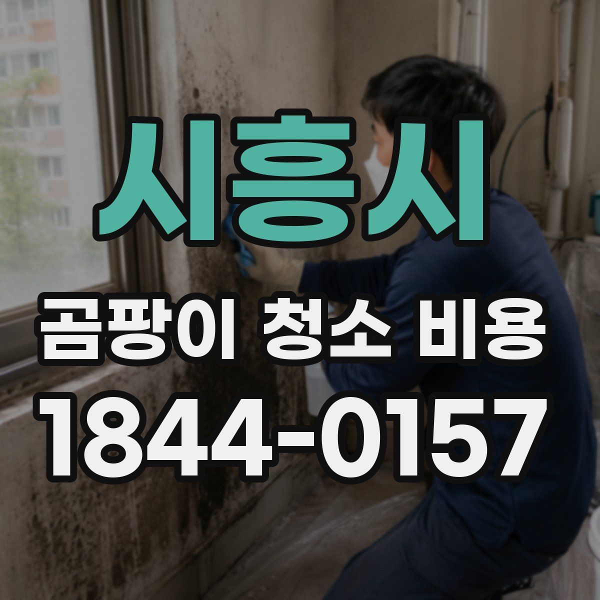 시흥시 곰팡이 청소 비용