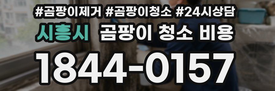 시흥시 곰팡이 청소 비용