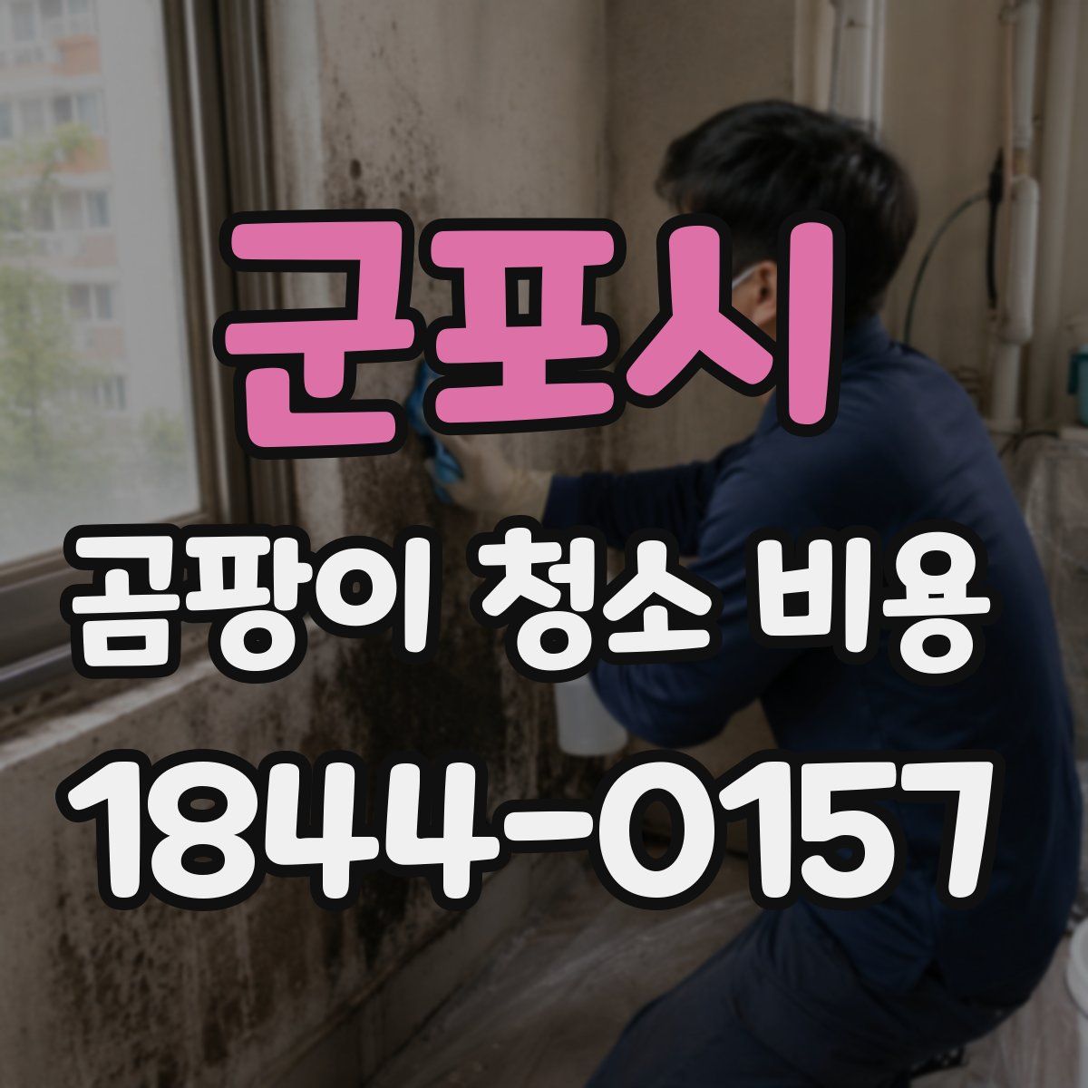 군포시 곰팡이 청소 비용