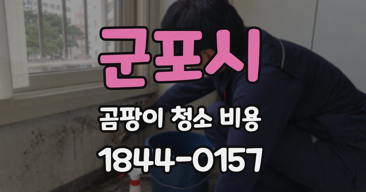 군포시 곰팡이 청소 비용
