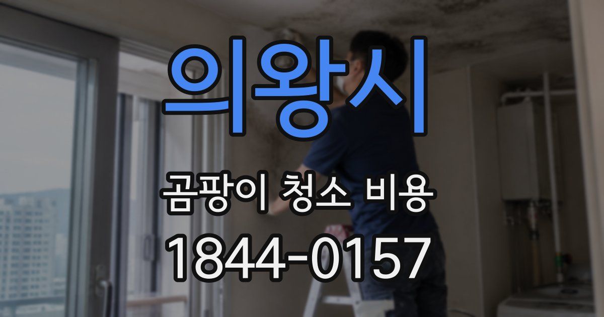 의왕시 곰팡이 청소 비용