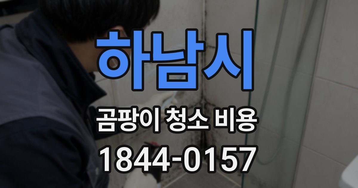 하남시 곰팡이 청소 비용