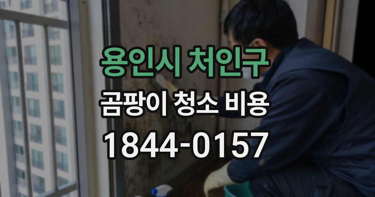 용인시 처인구 곰팡이 청소 비용