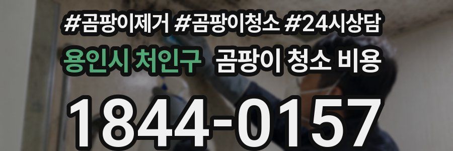 용인시 처인구 곰팡이 청소 비용