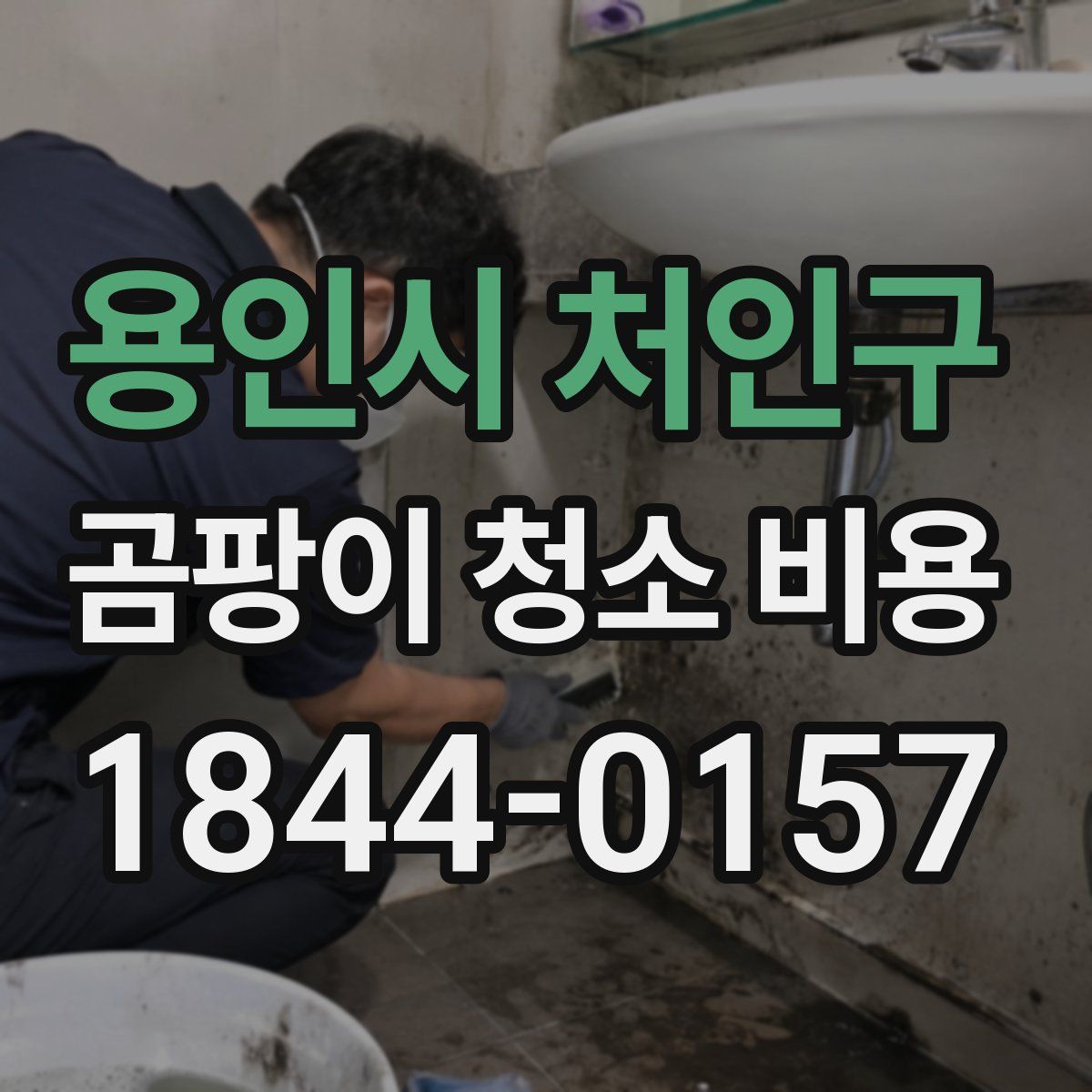 용인시 처인구 곰팡이 청소 비용