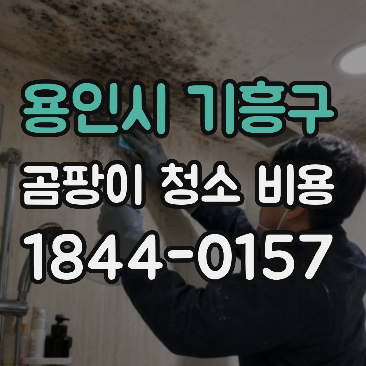용인시 기흥구 곰팡이 청소 비용