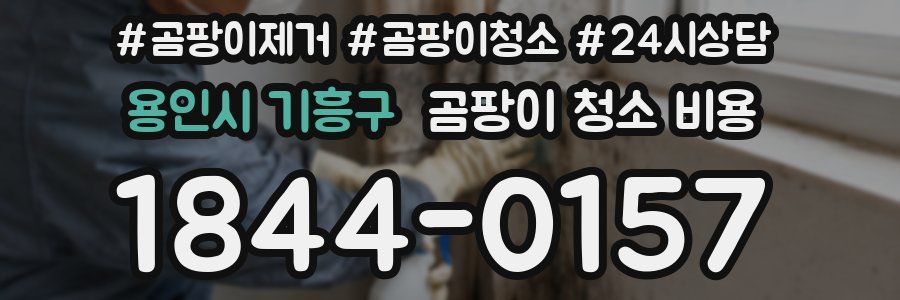 용인시 기흥구 곰팡이 청소 비용