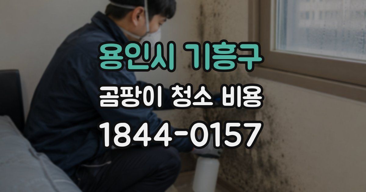 용인시 기흥구 곰팡이 청소 비용