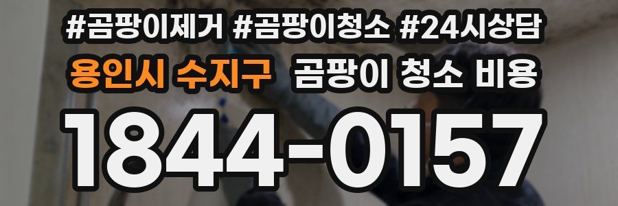용인시 수지구 곰팡이 청소 비용