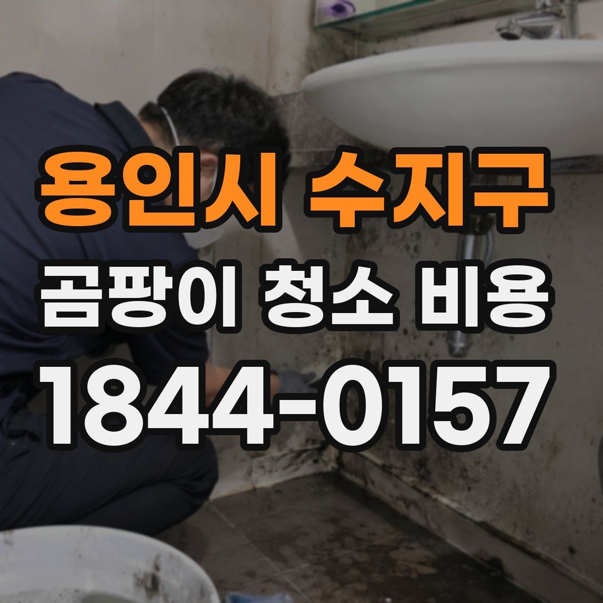 용인시 수지구 곰팡이 청소 비용