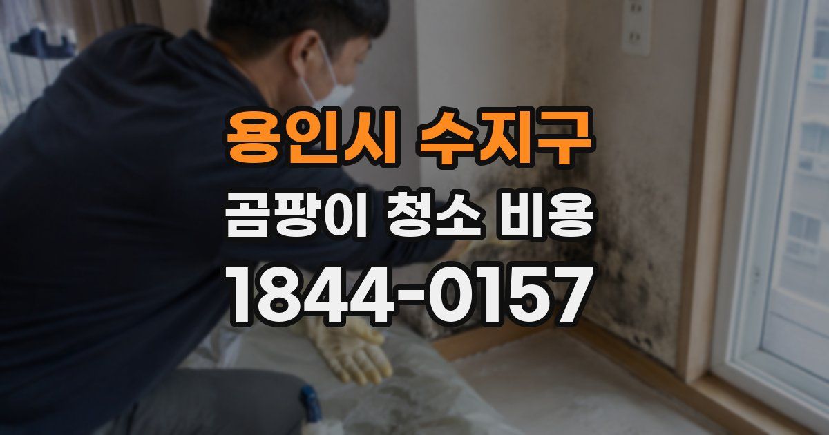 용인시 수지구 곰팡이 청소 비용