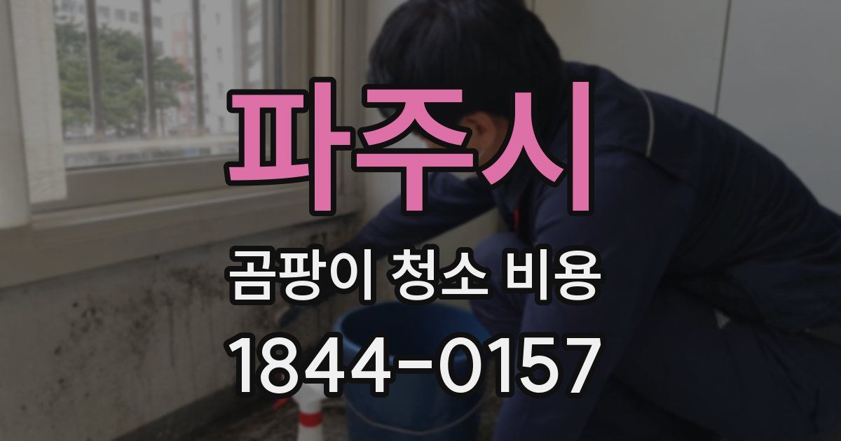 파주시 곰팡이 청소 비용