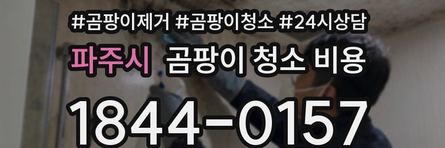파주시 곰팡이 청소 비용