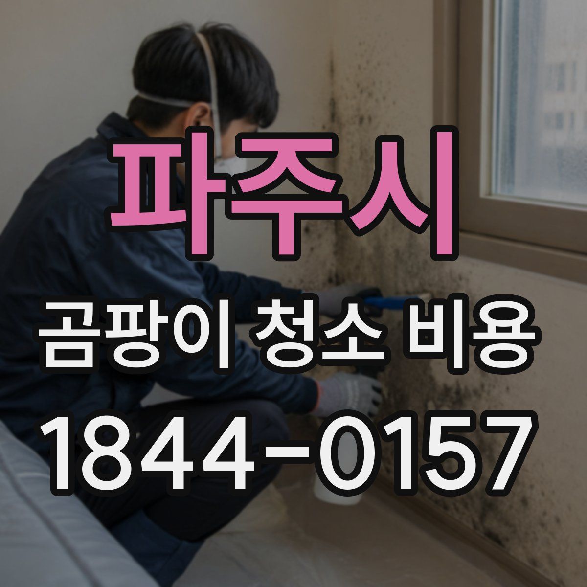 파주시 곰팡이 청소 비용